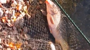 Рыбалка на озере