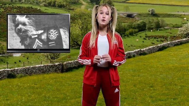 Yorkies! Not only do Yorkshire Terriers make great pets, learn one was even considered a war hero! смотреть онлайн