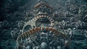 Desert Dwellers 25 Year Anniversary Tour - Live at Astronox Festival