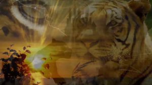 Има Сумак (Yma Sumak ).El Condor Pasa (Полёт Кондора)