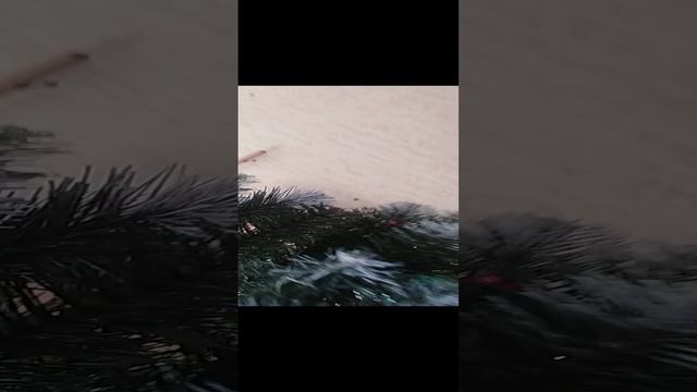 видео про ель