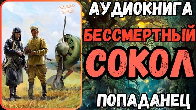 АУДИОРАССКАЗ | ПОПАДАНЕЦ: БЕССМЕРТНЫЙ СОКОЛ смотреть онлайн