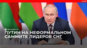 Путин на неформальном саммите лидеров СНГ