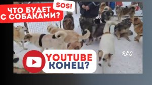 Душат слёзы и проблемы! Что будет дальше? #ютуб #youtube #собаки