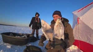 Глухозимье.Белоярское водохранилище.16 февраля 2024 г.Рыба отказывается клевать.