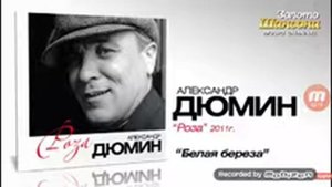 Поём от всей души. Исполнение Р. Шансон Белая берёза (А.Дюмин)
