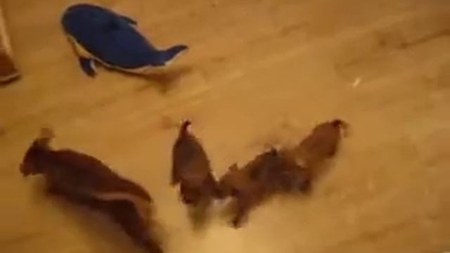 Компьютерная игра "Мыши" смотреть онлайн