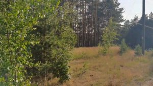 Стройка продолжается. Борисыч сдает в аренду. Бассейн, студия или зона отдыха?