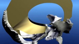 Краниальный ритм и строение черепа