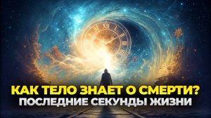 Как наше тело узнаёт о смерти? Удивительные факты
