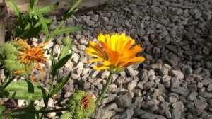 До отправления поезда- Надежда