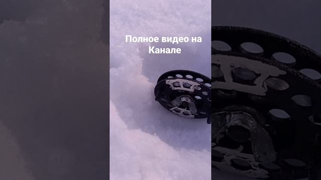 Рыбалка на Иртыш