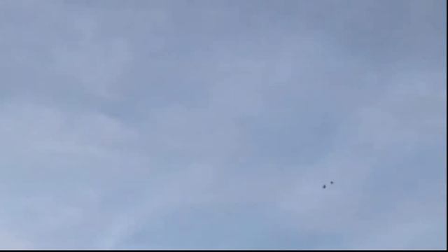 Подготовка к гусиной охоте, море гуся смотреть онлайн