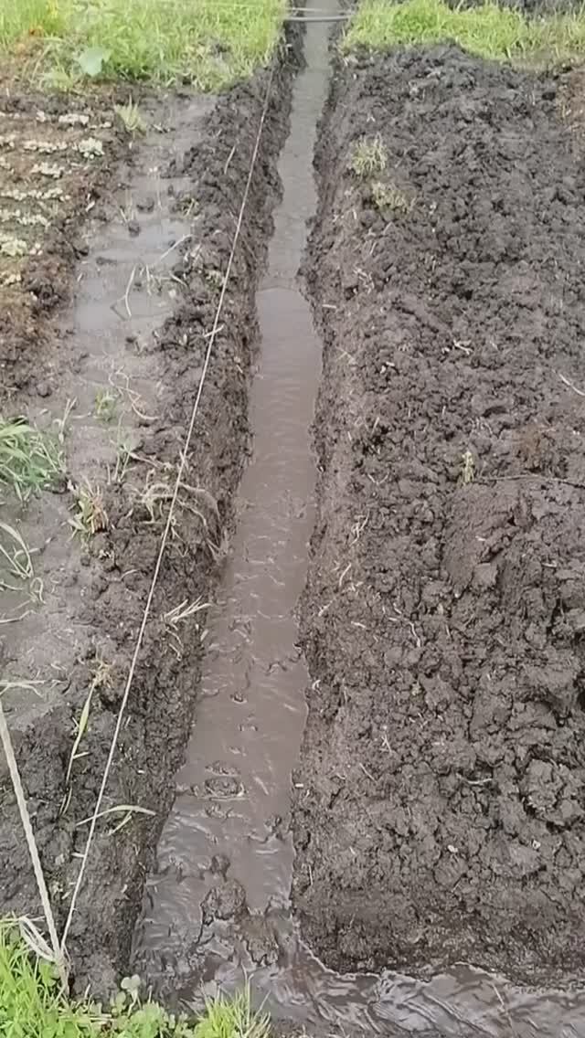 Осушение участка