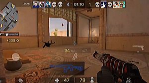 PEDRO PEDRO PEDRO🦝