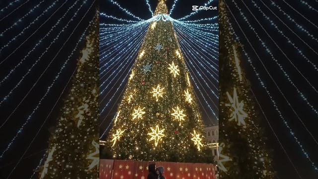 Новогодняя Вологда
#вологда #новогодняявологда #кладоваяплюс