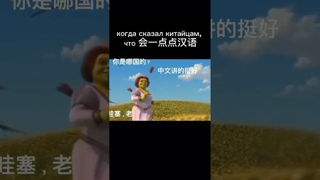 Предыдущее видео никто не понял, я его немного переделал) #mandarin #funny #китайскийязык