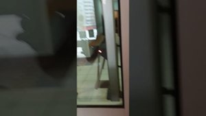 рамки металлодетектора.mp4
