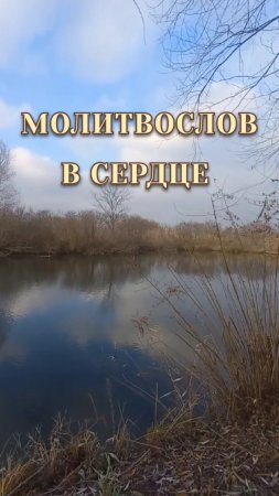 МОЛИТВОСЛОВ В СЕРДЦЕ ♥️ 📿 Стих монаха Салафиила (Филипьева), читает монахиня София