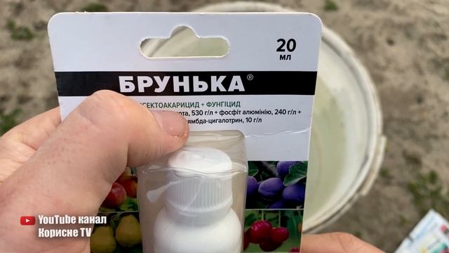 Перша та найважливіша обробка саду