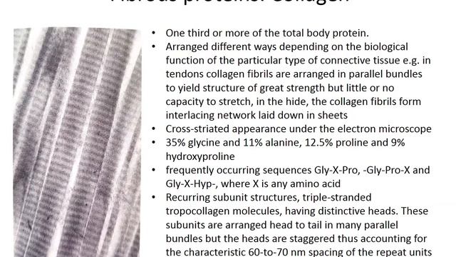 Protein configuration and conformation смотреть онлайн