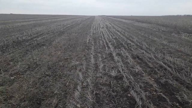 28.02.2019. Внесение карбамида и обзор посевов рапса и пшеницы
