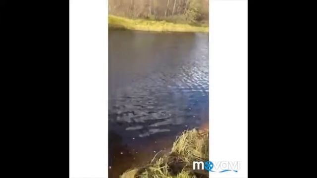 Исторический квест "Забытая история Ногл во" . Октябрь 2019. Ноглики 1 смотреть онлайн