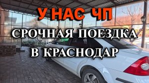 769ч Жизнь на юге после переезда/Истории из нашей жизни/Купили дом на Кубани