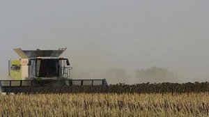 Claas lexion 7700   Pd močenok zber slnečnice 2022