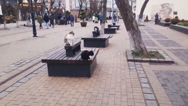 НЕ БОЛЬШАЯ ПРОГУЛКА// ГОРОД ГОТОВИТСЯ К ПРАЗДНИКУ//