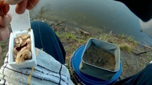 Фидерная рыбалка на крючки прищепки для мотыля.