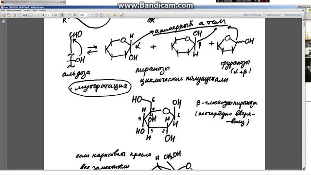 о тестовых вопросах 1 смотреть онлайн
