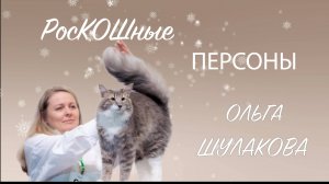РосКошные персоны на Winter cats show 2024 (часть первая)
