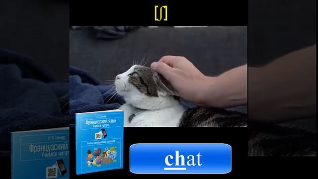 Задание С2 3 Ганчар Н П Французский язык Учимся читать смотреть онлайн