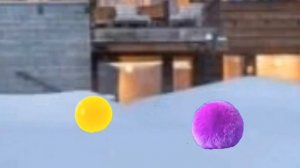 Мегопраждаюшие орфомление (Зима 2024/2025)