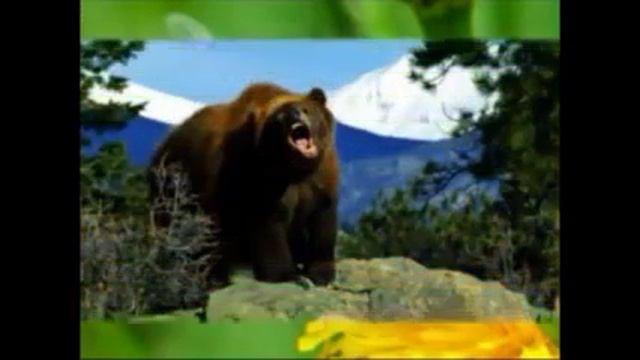 НЕ ДРАЗНИТЕ СОБАК (+) слова смотреть онлайн