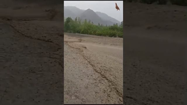 селопад 22.04.2024 узбекистане смотреть онлайн