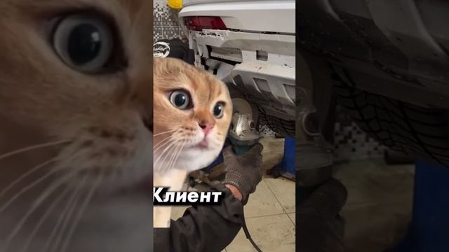 Выхлоп акрапович на Geely Monjaro😂 #geelymonjaro #китайскиеавто #воронеж #automobile #перекупы