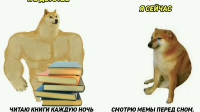 Жизовая правда 2 #втоп #мемы #впопулярное #мемы2022 #собакин #собака #собакаулыбака #ВПОПУЛЯРНОЕПЖ