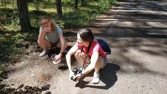 kaliningrad | welt der wunder | jun’19 смотреть онлайн