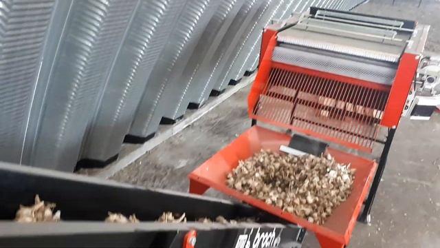 Калибровка чеснока смотреть онлайн