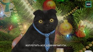 С Новым годом! | Кот Бублик