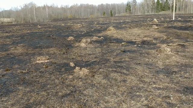 Однодворка 18 века. Не битое место! смотреть онлайн