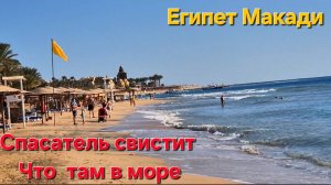 Египет.Опасный отдых.спасатели свистят Акулы в море Бухта МАКАДИ--  7