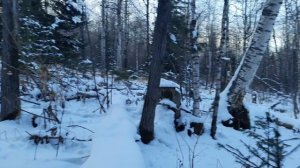 По охотничьей тропе