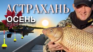 Осенняя экспедиция в Астрахань 2024