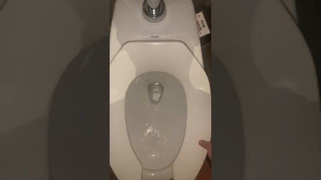 Marugame Udon and Tempura Women's Restroom Full Shoot смотреть онлайн