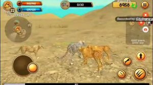 Игра симулятор гепарда