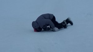 катаемся на ледянках чек