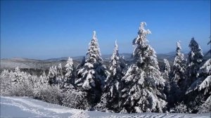 Автор  Стихов  Елена Краснова Новогоднее пожелание